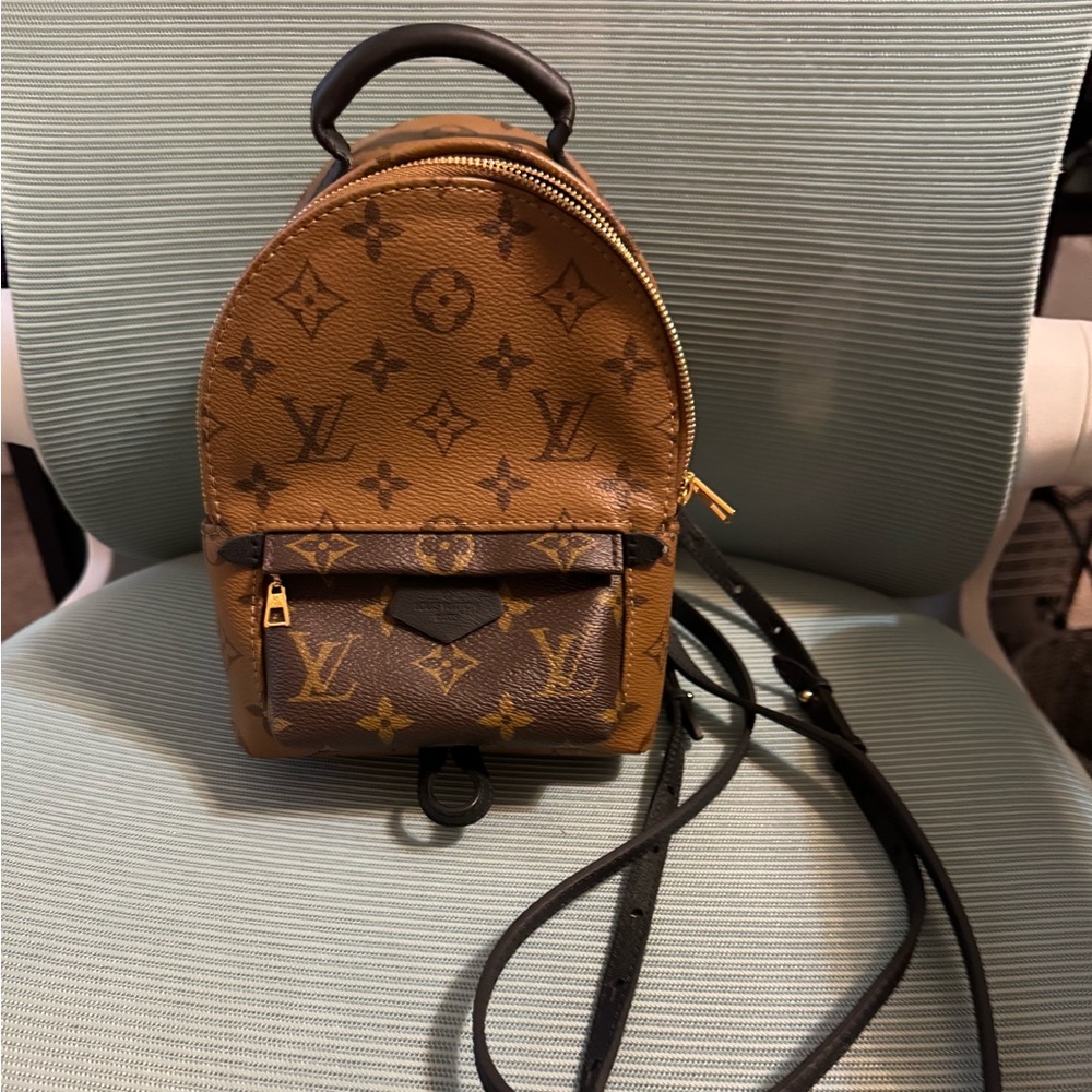 Louis Vuitton Reverse Monogram Palm Springs Mini Backpack